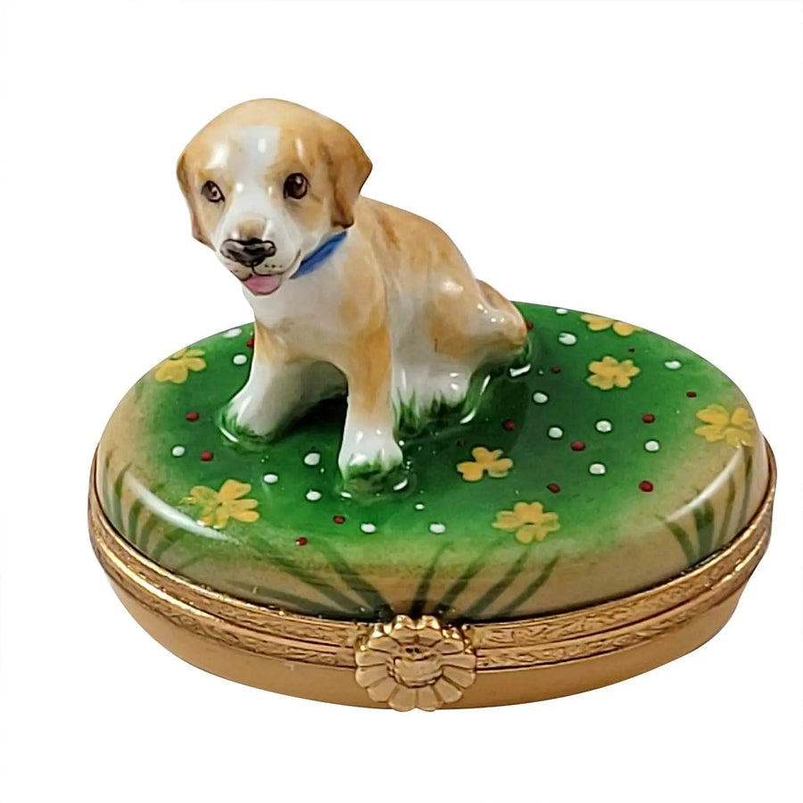 Blond / Yellow Labrador Light Beagle Porcelain Limoges dog French Trinket Box