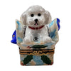Dog in gift box Porcelain Limoges dog French Trinket Box