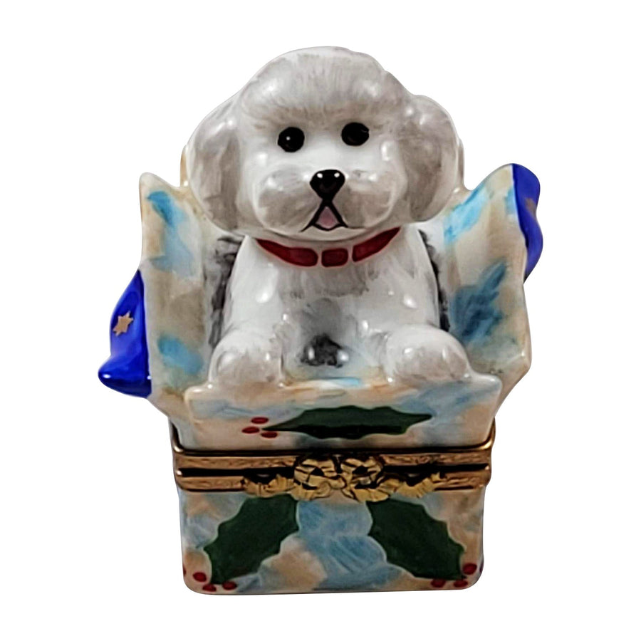Dog in gift box Porcelain Limoges dog French Trinket Box
