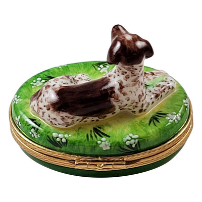 German Short Haired Pointer Dog Figurine Porcelain Limoges Dog French Trinket Box