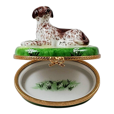 German Short Haired Pointer Dog Figurine Porcelain Limoges Dog French Trinket Box