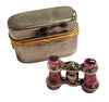 Safari Adventure Limoges Box Porcelain Limoges sports wild animals French Trinket Box