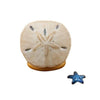 Sand Dollar with Starfish Porcelain Limoges beach ocean travel French Trinket Box