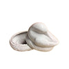 Sleeping Bird Limoges Box Porcelain Limoges Bird LIMOGES BOXES French Trinket Box