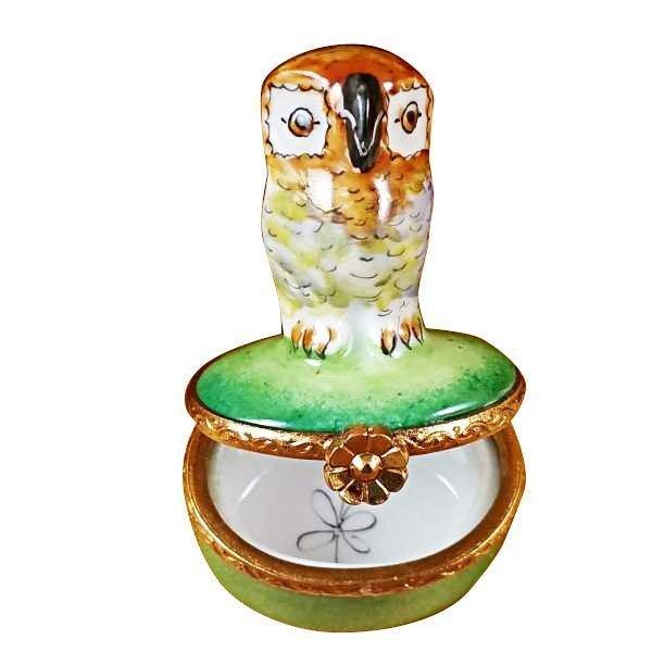 Small Owl on Green limoges box Porcelain Limoges French Trinket Box