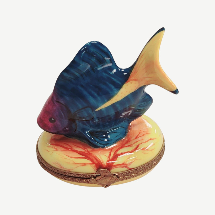 Tropical Fish Limoges Box Delight Porcelain Limoges fish ocean beach LIMOGES BOXES French Trinket Box