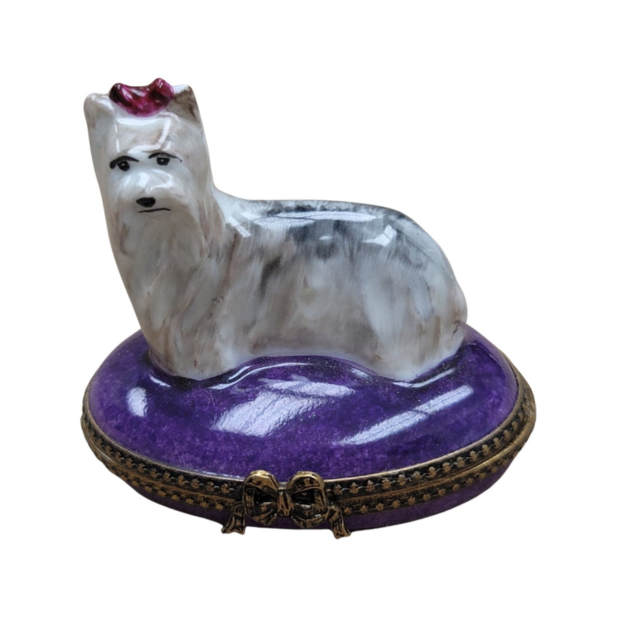 White Yorkshire Terrier Limoges Box Porcelain Limoges dog LIMOGES BOXES French Trinket Box