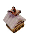 Winter Birdhouse with Eggs Porcelain Limoges bird garden French Trinket Box