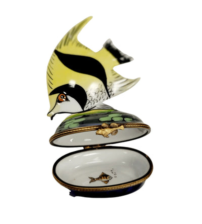 Retired Yellow Tropical Fish Box Porcelain Limoges fish ocean beach LIMOGES BOXES French Trinket Box