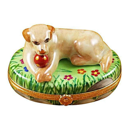 Beige Labrador Dog w Ball Limoges Box - Limoges Box Boutique
