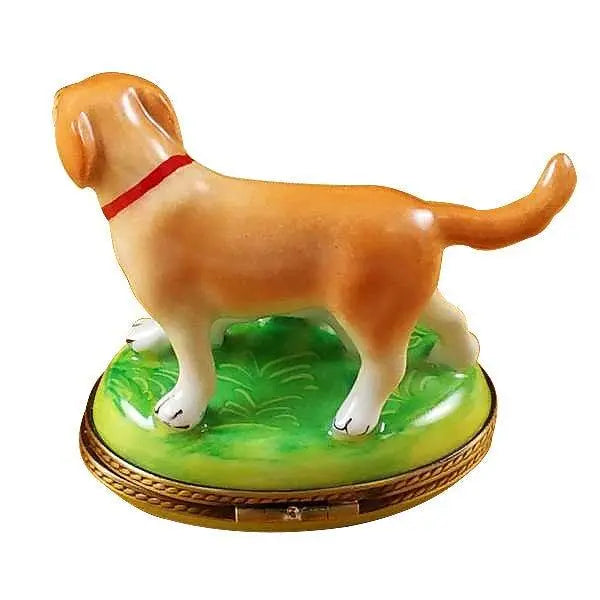 Blond / Yellow Labrador with Puppy Porcelain Limoges Dog French Trinket Box