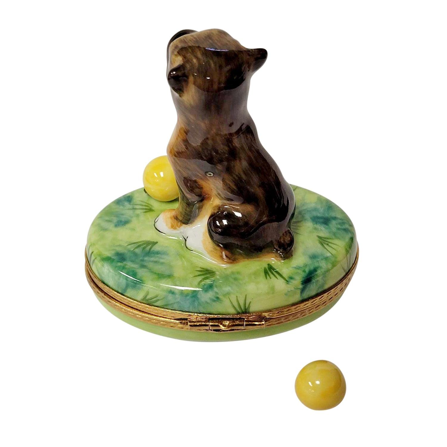 Boxer on Grass with Removable Ball Porcelain Limoges dog French Trinket Box
