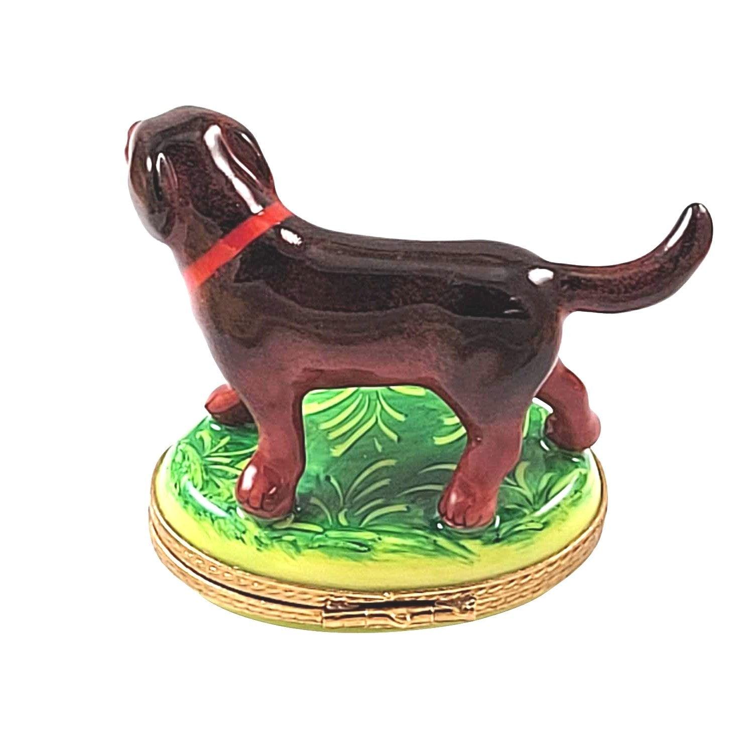 Chocolate Labrador Standing Porcelain Limoges Dog French Trinket Box