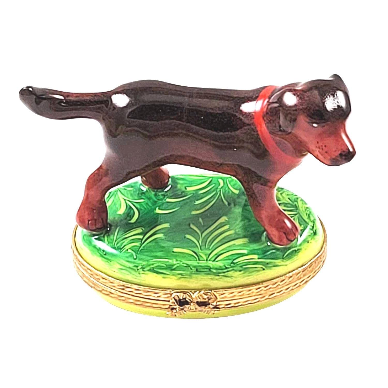 Chocolate Labrador Standing Porcelain Limoges Dog French Trinket Box