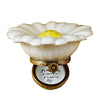 Daisy Garden Porcelain Limoges flowers garden Limoges Box French Trinket Box