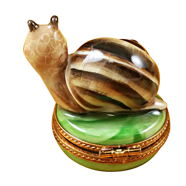 Escargot Snail Limoges Box back