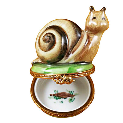 Escargot Snail Limoges Box inside