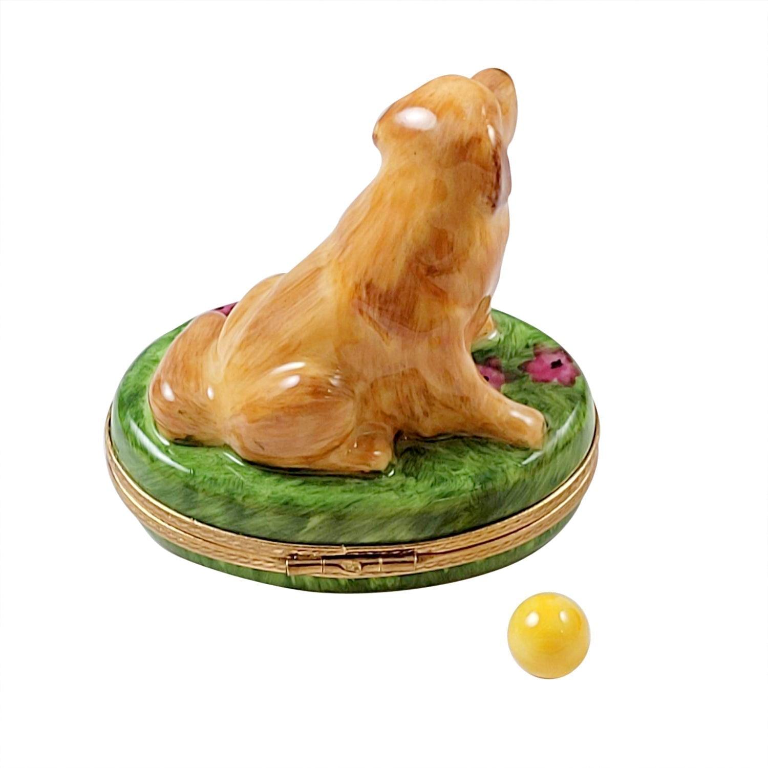 Golden Retriever on Flowers with Removable Ball Porcelain Limoges dog French Trinket Box