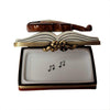 Music Book with Violin Porcelain Limoges music book French Trinket Box