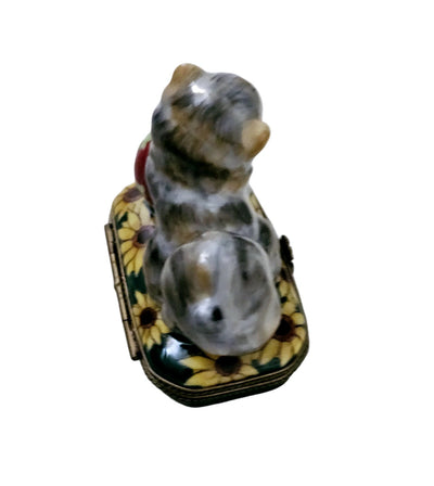 Charming Cat with Butterfly Box - Overstock Item Porcelain Limoges cat French Trinket Box