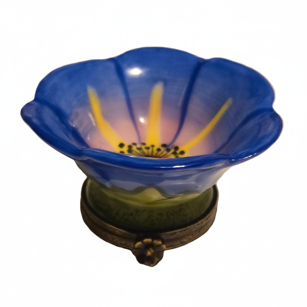 Large Blue Open Flower w Bee
