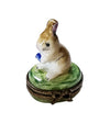Enchanted Rabbit Limoges Box Porcelain Limoges rabbit French Trinket Box