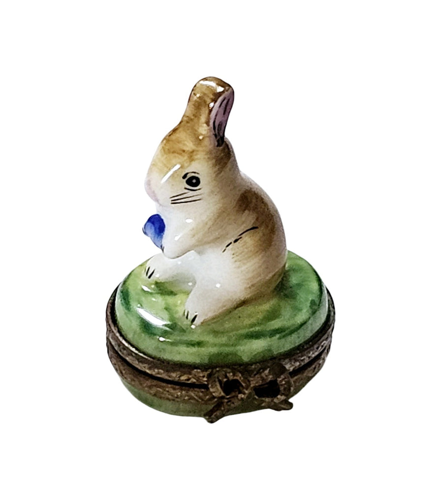 Enchanted Rabbit Limoges Box Porcelain Limoges rabbit French Trinket Box