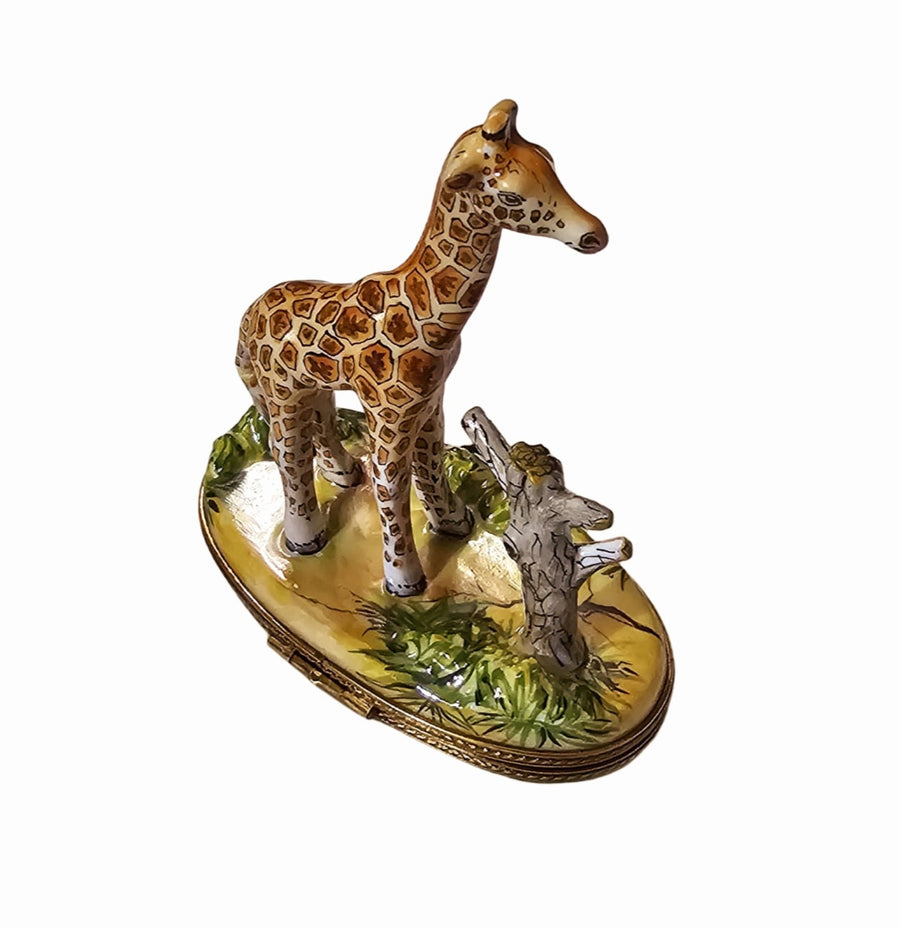 Giraffe In Nature Limoges Box Porcelain Limoges wild animal French Trinket Box