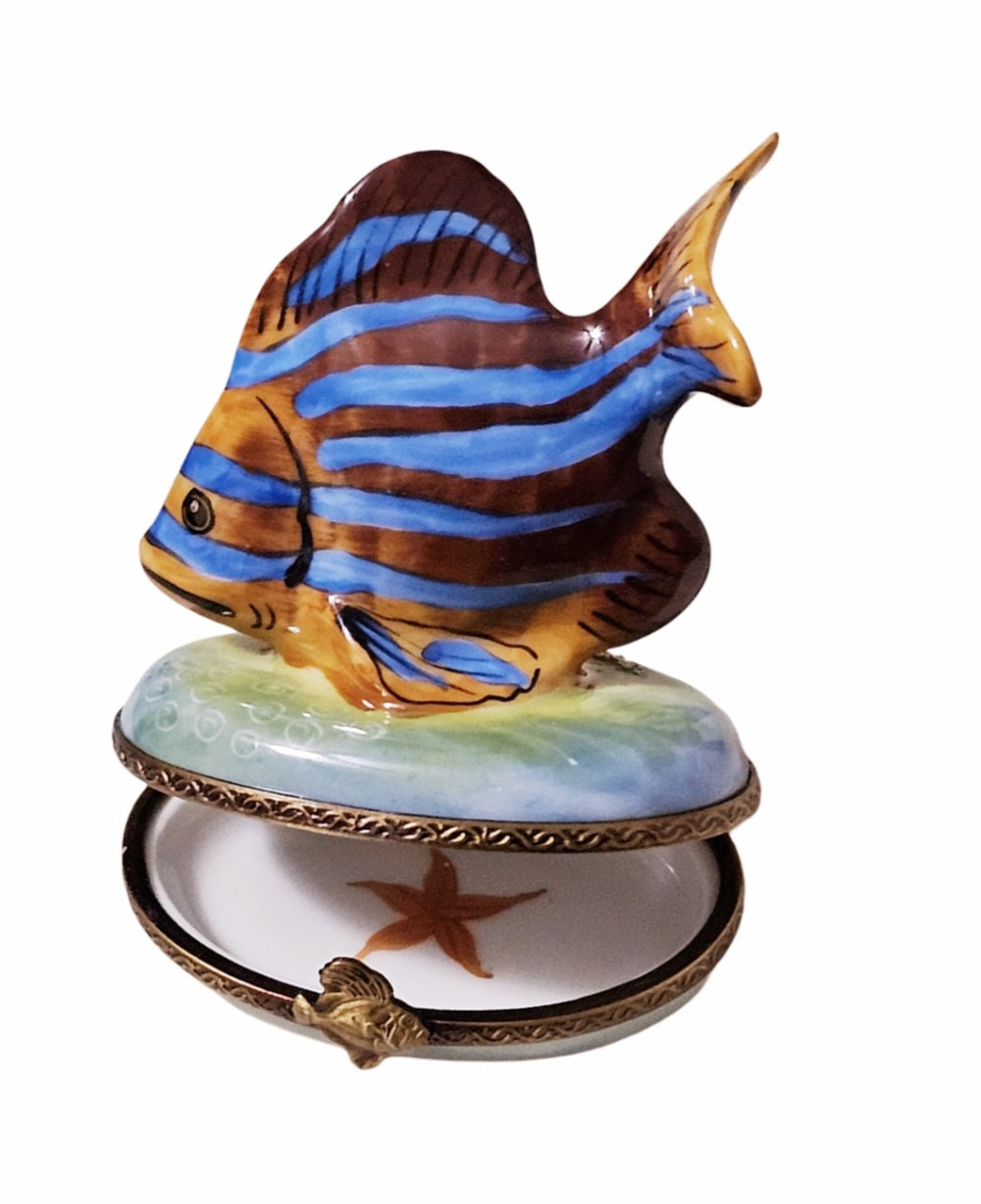 Brown Fish With Blue Stripes Porcelain Limoges Ocean beach fish French Trinket Box