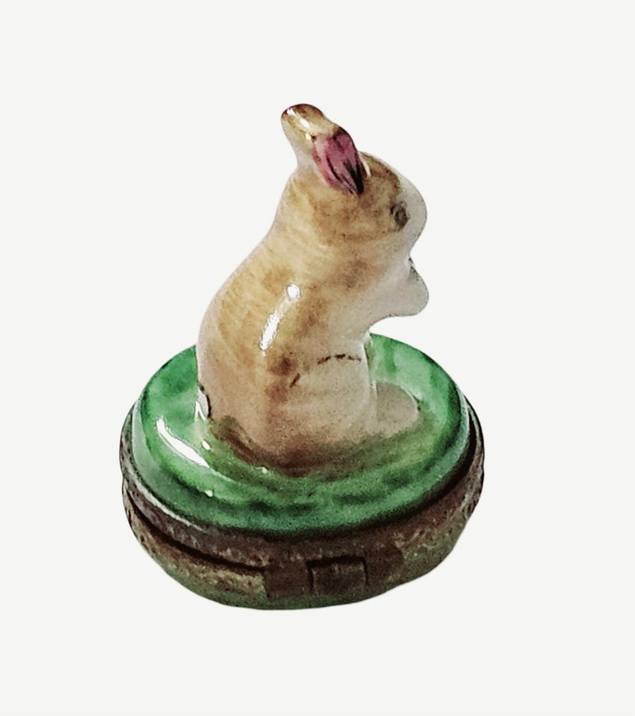 Enchanted Rabbit Limoges Box