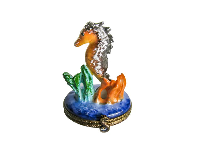 Seahorse Limoges Box for Collectors Porcelain Limoges ocean beach fish French Trinket Box