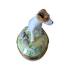 Jack Russell Terrier Dog Artoria