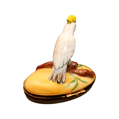 Exotic yellow crest cockatoo bird with playful demeanor