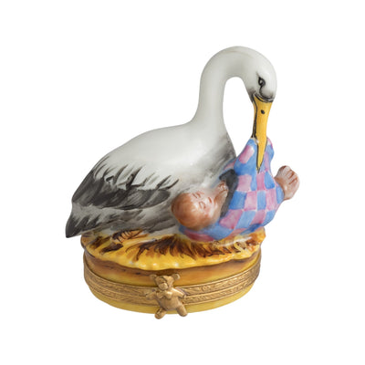 Elegant stork gracefully presenting a sweet newborn baby