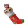 Red and white Christmas stocking with cute kitten peeking out of the top