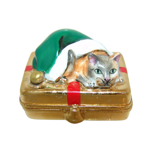 A cute and festive Santa cat sitting on a shiny gold present with a red bow
