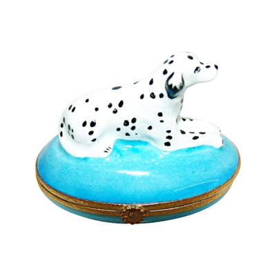 Adorable Dalmatian dog with floppy ears on a stunning blue base