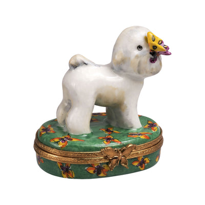 A fluffy white Bichon Frise dog sitting on a green grass