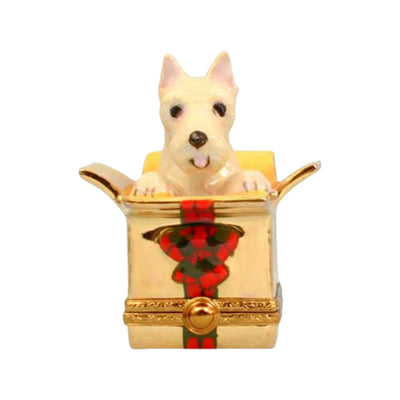 Westie dog with a white coat and black eyes and nose, popping out of a red and green Christmas present, looking adorable and curious