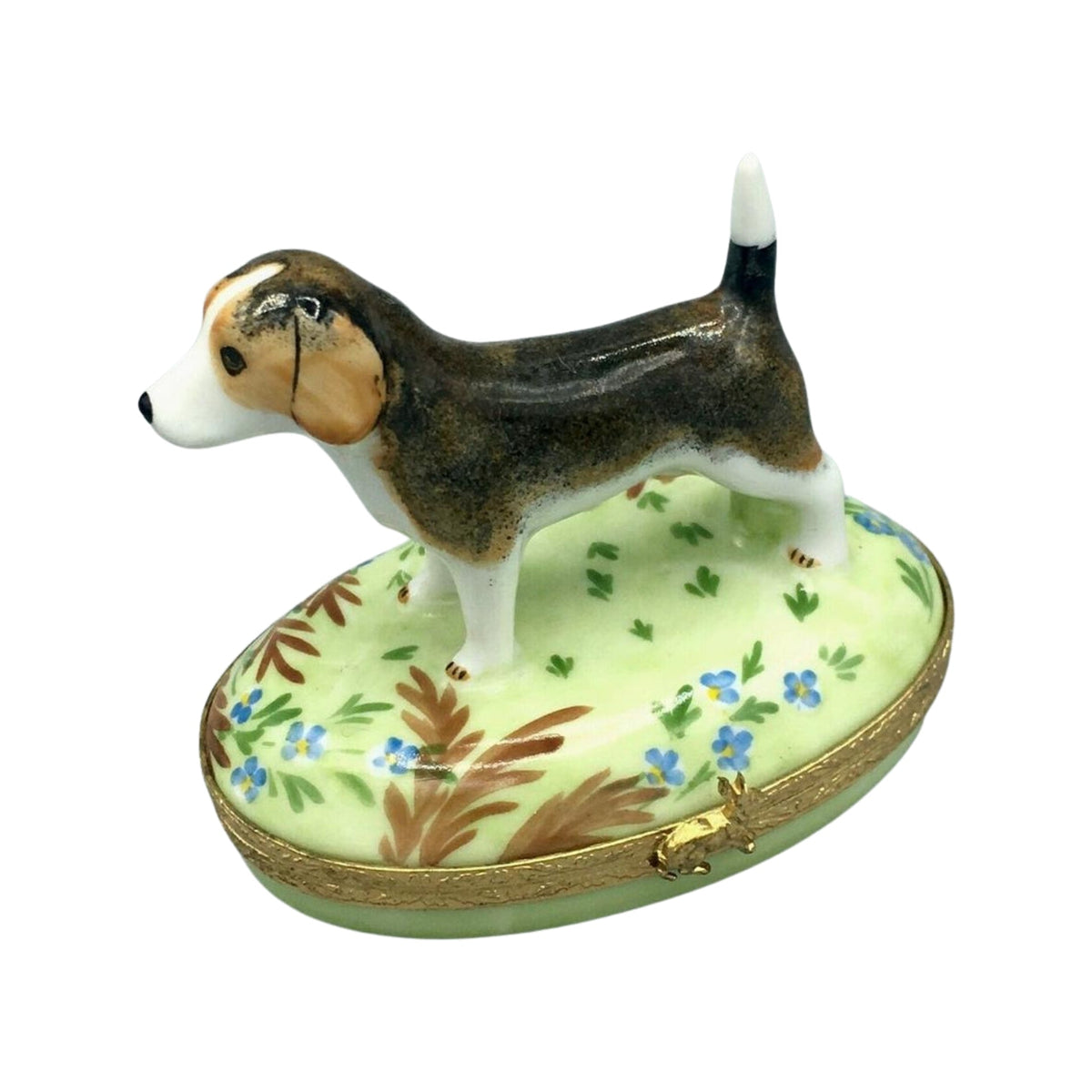 Happy beagle dog sitting on a leash next to a dog bowl