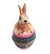 Easter Rabbit on Egg-rabbit easter-CH2P129