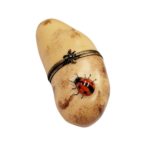 Potato w Lady Bug-fruit vegetables-CH6D114