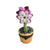 Purple Flowers in Pot-Garden flowers limoges boxes-CH9J176