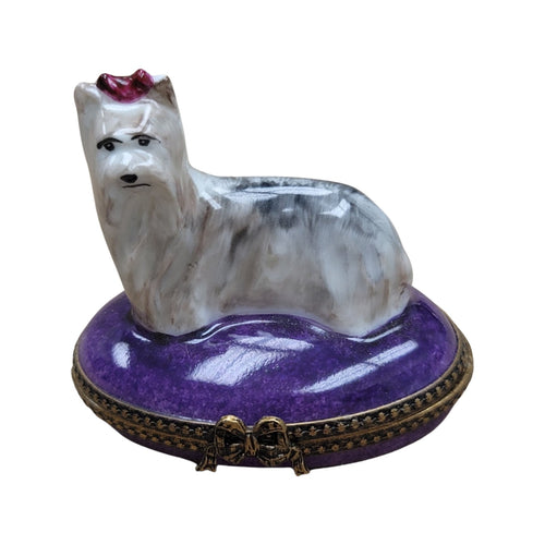 White Yorkshire Terrier Dog-dog LIMOGES BOXES-CH6D126
