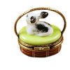 Basket with Mini Rabbit