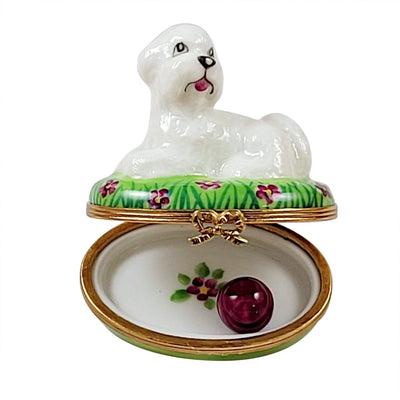 Bichon Frise Dog Lying w Ball Limoges Box - Limoges Box Boutique