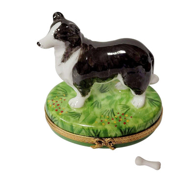 Black & White Collie Dog with Removable Bone Limoges Box - Limoges Box Boutique