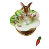 Brown Bunny on Leaf with Removable Carrot