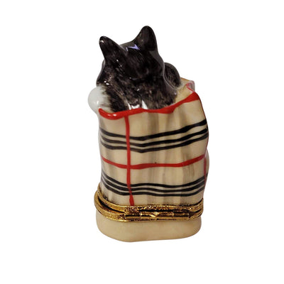 Beautiful pet cat having fun inside luxurious Berberry tote
