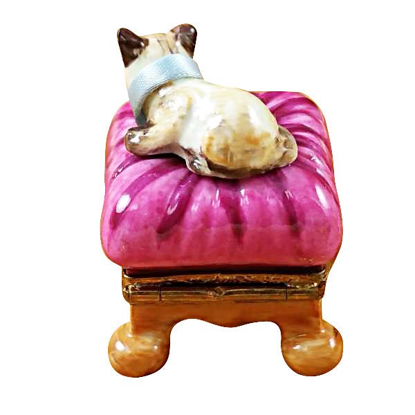 Adorable feline lounging on a cozy cushion